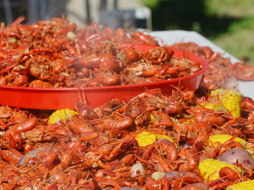 New Orleans Crawfish Season Guide | Hotel St. Pierre