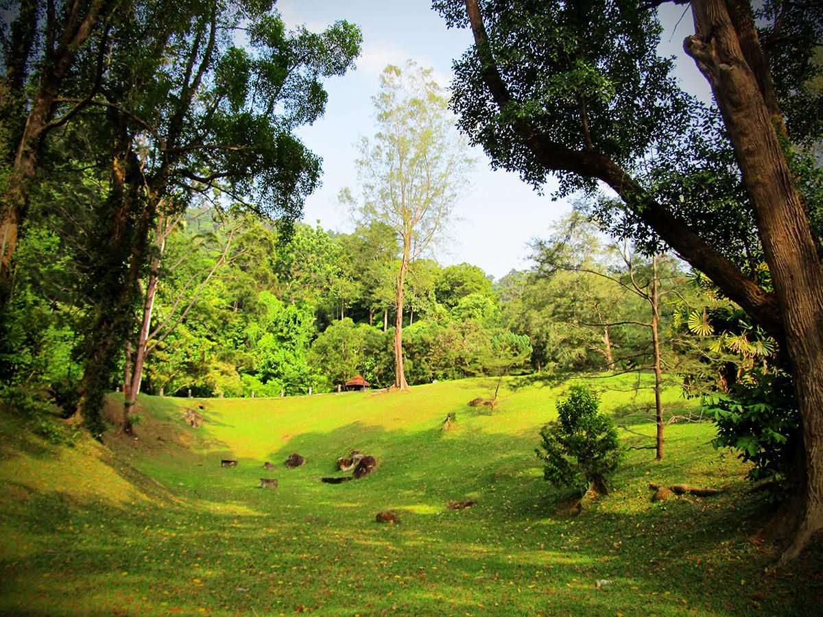 Penang Botanical Garden Top Places To Visit Near Lexis Suites Penang