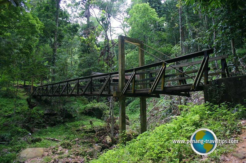 Bukit Mertajam Recreational Forest - Outdoor activity near Butterworth, Penang
