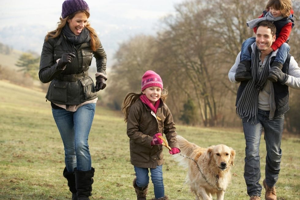 family dog walks in Cornwall