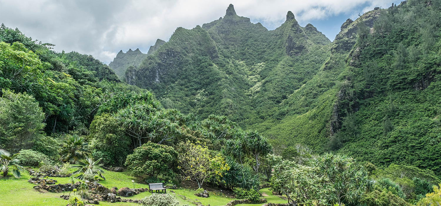 Lovely Upper Garden:view from the upper garden surrounded by mountains, at the Limahuli Garden and Preserve-National Botanical Garden, Ha'ena, Halele'a, Kauai, Hawaii, on March 24, 2017, mid-morning.