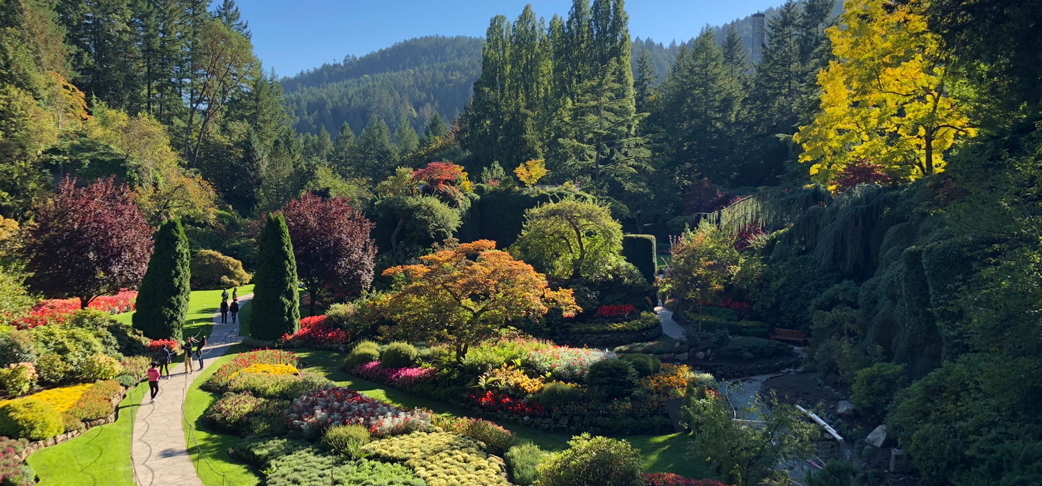 butchart gardens in the fall