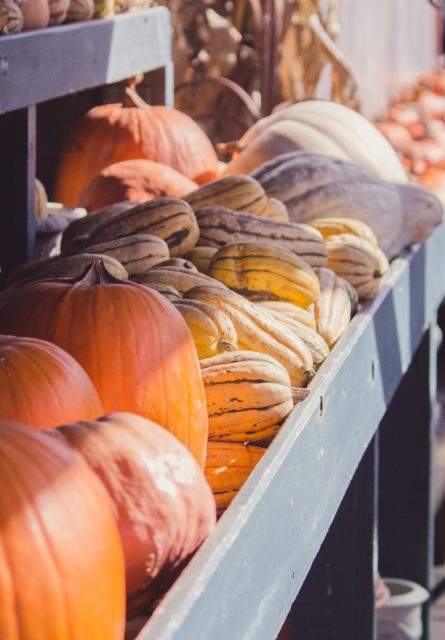 Pumpkins and vegetable for sale at a farmers market