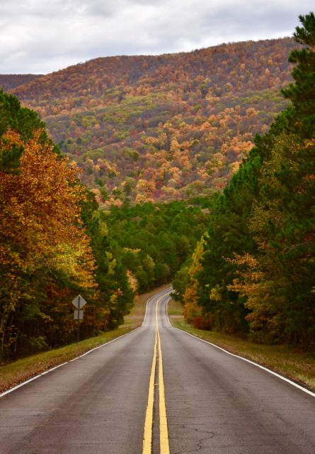 Open Road with the color trees