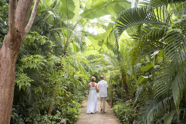 couple walking in the jungle