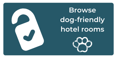 dog-friendly hotel Cornwall