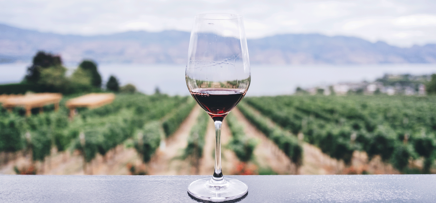 wine glass in front of okanagan lake