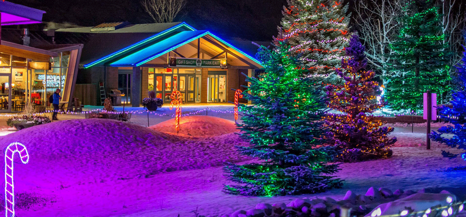 BC Wildlife Park lit up for Christmas